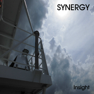 Synergy - Insight