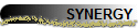 SYNERGY